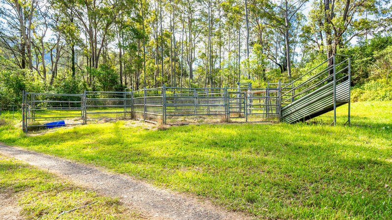 Photo - 183 Bobin Creek Road, Bobin NSW 2429 - Image 18