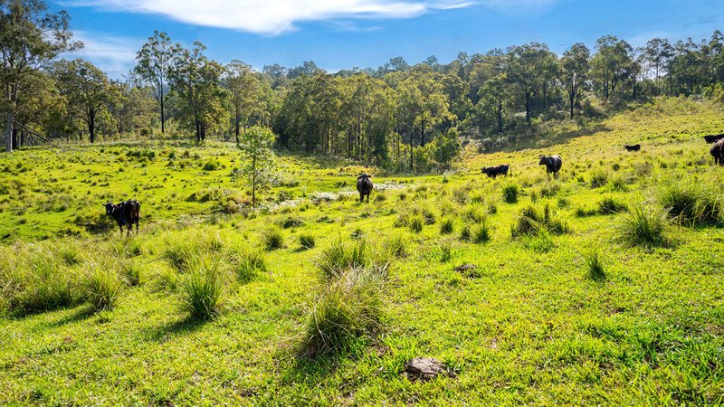 Photo - 183 Bobin Creek Road, Bobin NSW 2429 - Image 20