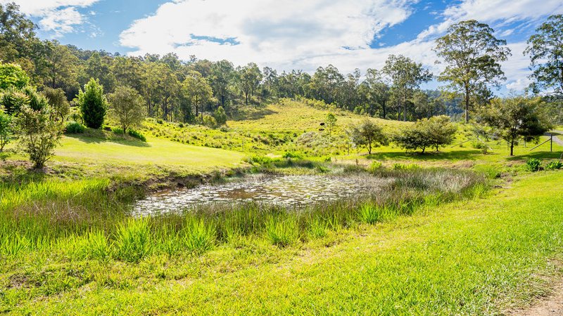 Photo - 183 Bobin Creek Road, Bobin NSW 2429 - Image 24