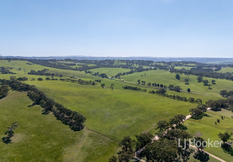 Photo - 183 Daniel Road, Wistow SA 5251 - Image 3