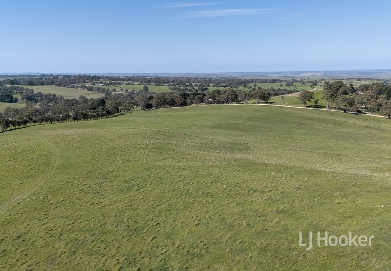 Photo - 183 Daniel Road, Wistow SA 5251 - Image 5