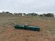Photo - 183 Daniel Road, Wistow SA 5251 - Image 10