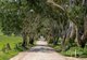 Photo - 183 Daniel Road, Wistow SA 5251 - Image 13