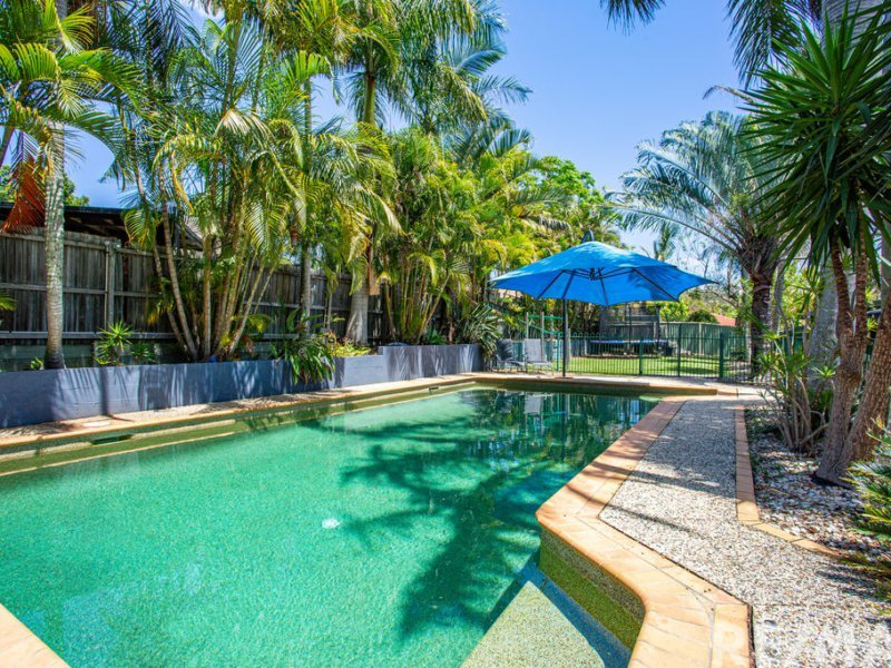 Photo - 183 Dugandan Street, Nerang QLD 4211 - Image 8