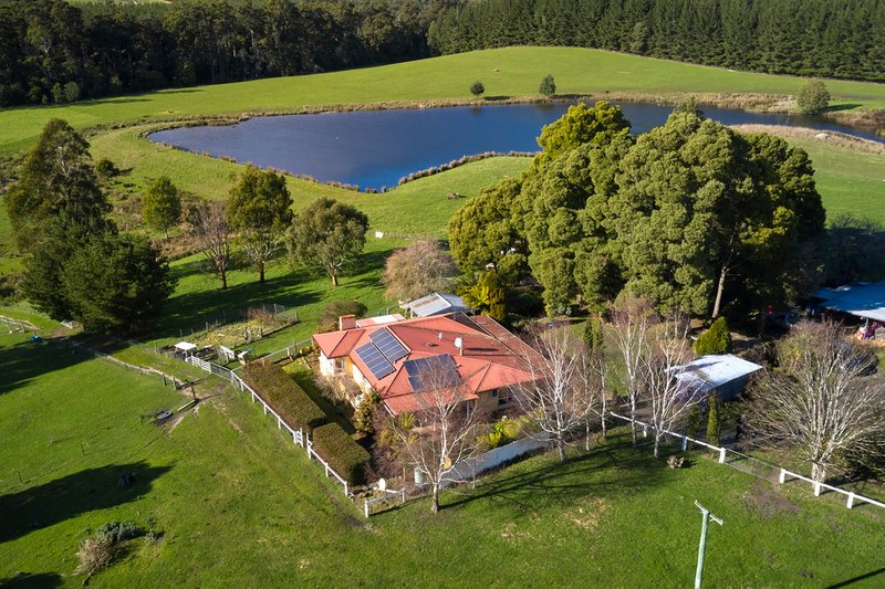 Photo - 183 Mackenzie Valley Road, Cuckoo TAS 7260 - Image 3