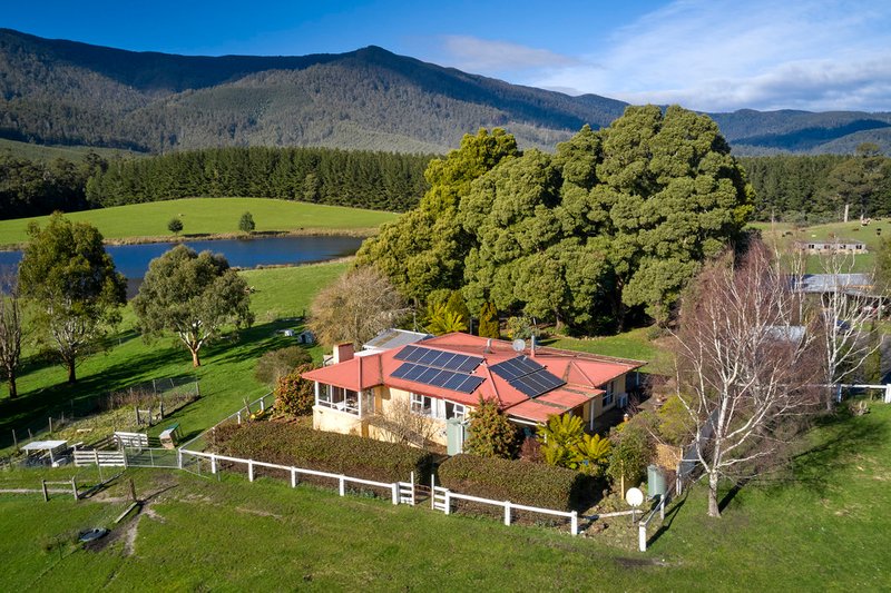 Photo - 183 Mackenzie Valley Road, Cuckoo TAS 7260 - Image 4