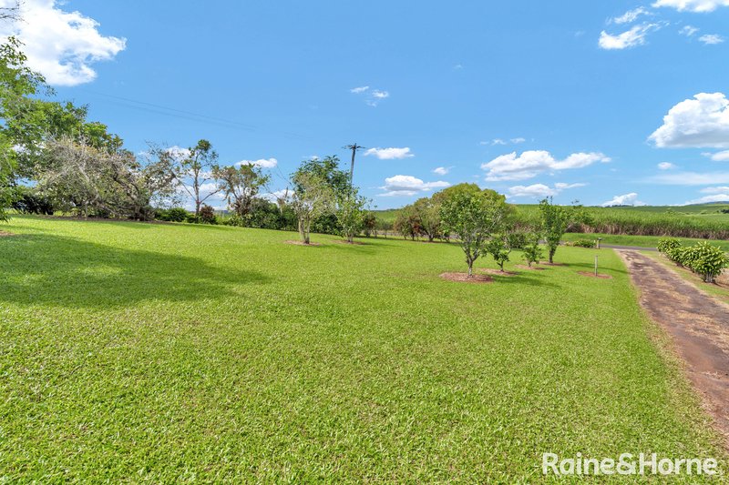 Photo - 183 Nerada Road, Nerada QLD 4860 - Image 15