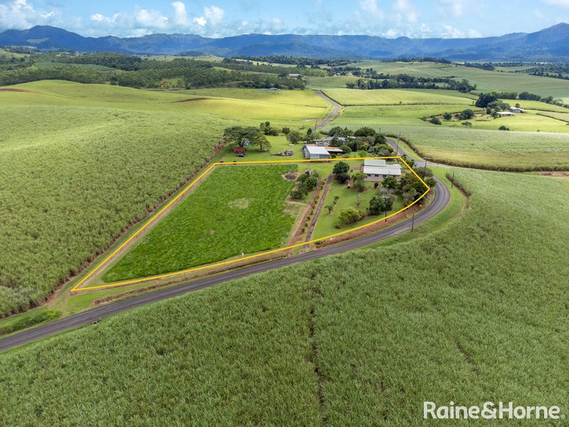 Photo - 183 Nerada Road, Nerada QLD 4860 - Image 18