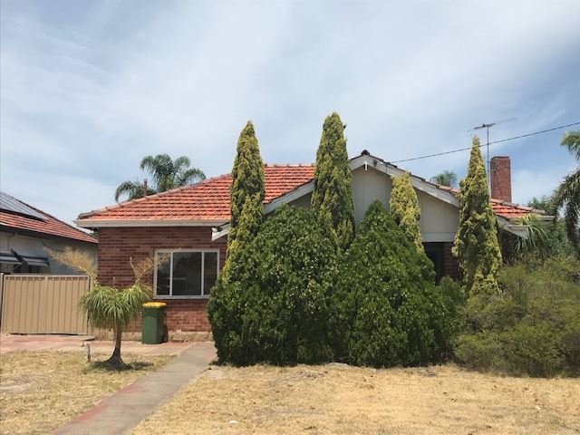 Photo - 183 Rosebery Street, Bedford WA 6052 - Image 4