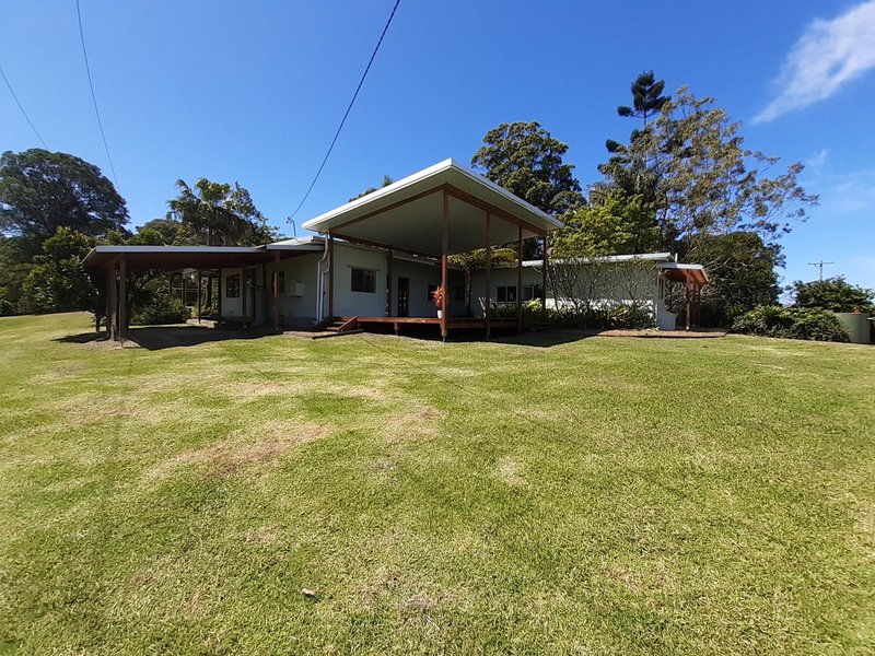 Photo - 183 Soldier Settlers Road, Newee Creek NSW 2447 - Image 13