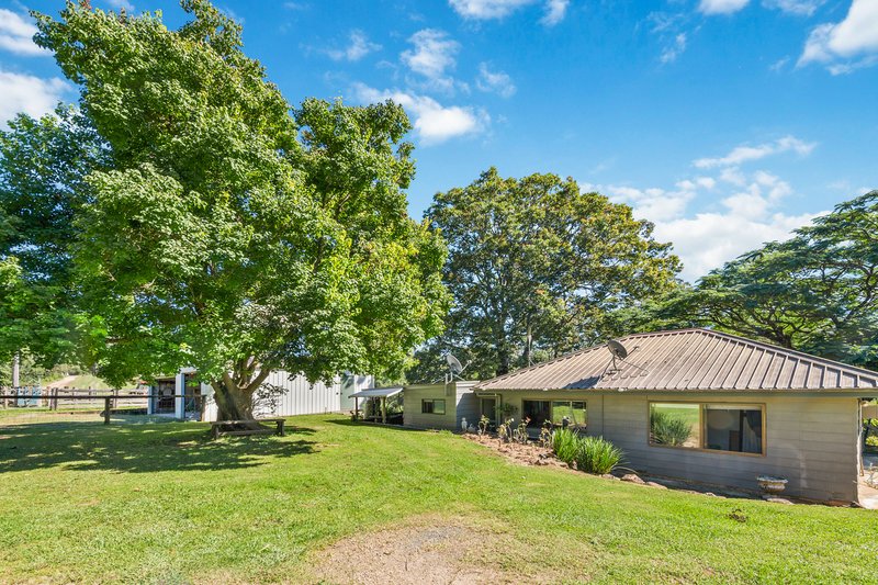 Photo - 1831 Hannam Vale Road, Lorne NSW 2439 - Image 13