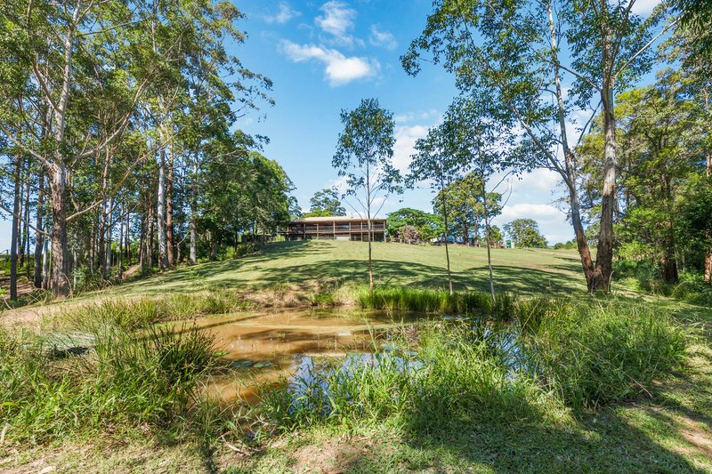 Photo - 1831 Hannam Vale Road, Lorne NSW 2439 - Image 21