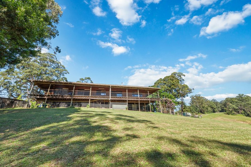 Photo - 1831 Hannam Vale Road, Lorne NSW 2439 - Image 24