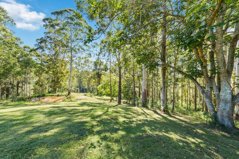 Photo - 1831 Hannam Vale Road, Lorne NSW 2439 - Image 25