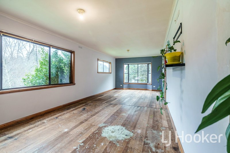 Photo - 1837 Lilydale Road, Lilydale TAS 7268 - Image 7