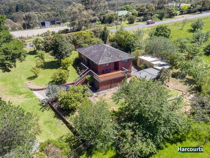 Photo - 184 Belgrave-Hallam Road, Belgrave South VIC 3160 - Image 4