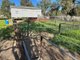 Photo - 184 Henty Walla Walla Road, Henty NSW 2658 - Image 6