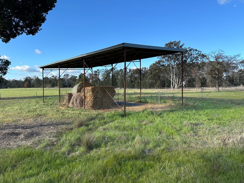 Photo - 184 Henty Walla Walla Road, Henty NSW 2658 - Image 9