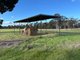 Photo - 184 Henty Walla Walla Road, Henty NSW 2658 - Image 9