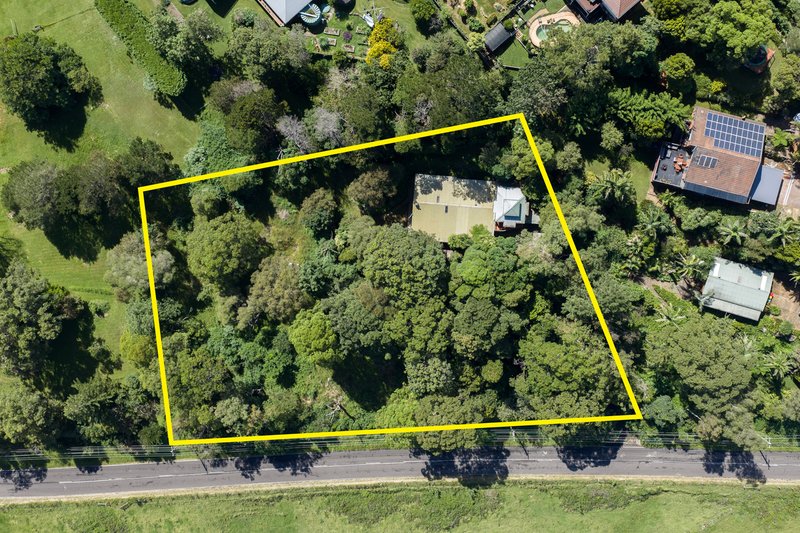 Photo - 184 Jamberoo Road, Jamberoo NSW 2533 - Image 23