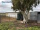 Photo - 184 Mcdonald Road, Darkan WA 6392 - Image 7