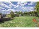 Photo - 184 Taylor Street, Armidale NSW 2350 - Image 10