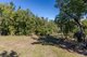 Photo - 184 Tucker Road, Riordanvale QLD 4800 - Image 8