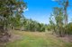 Photo - 184 Tucker Road, Riordanvale QLD 4800 - Image 10