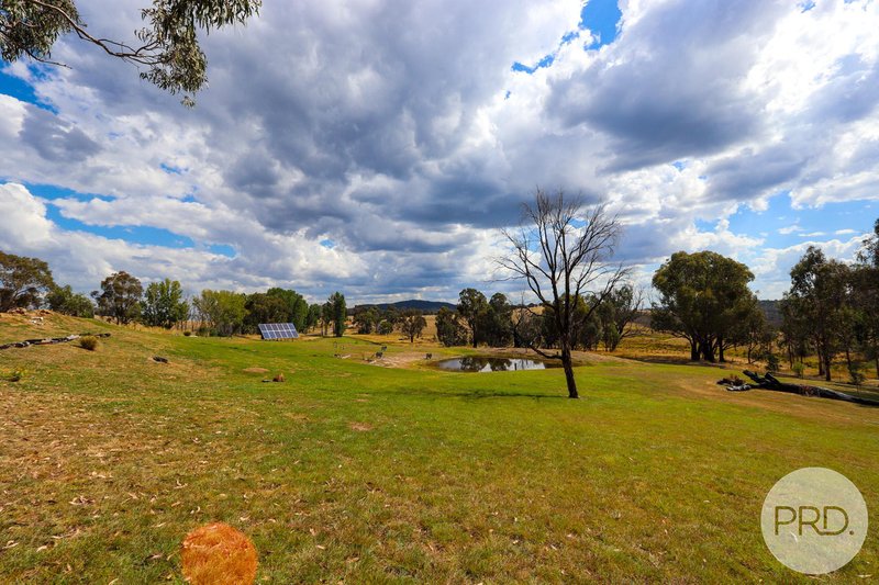 Photo - 1844 Tooma Road, Tumbarumba NSW 2653 - Image 19