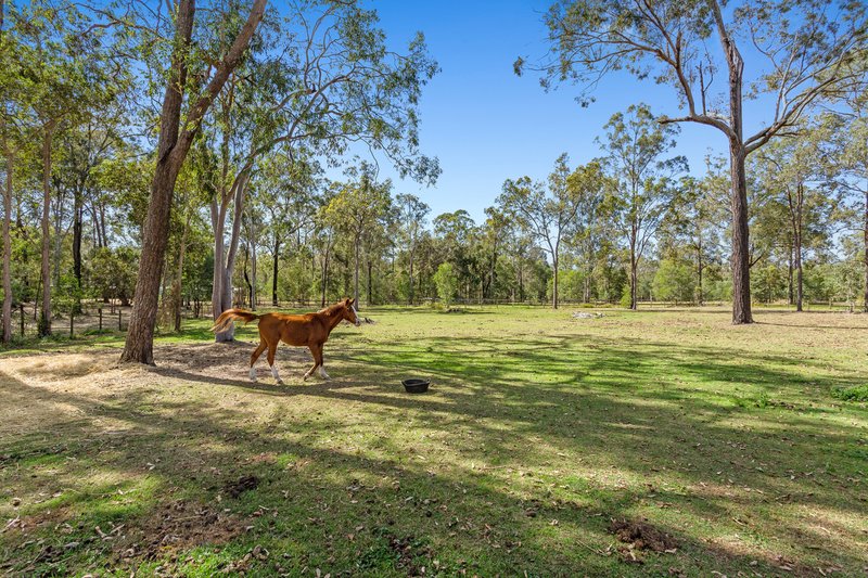 Photo - 1847-1855 Chambers Flat Rd , Munruben QLD 4125 - Image 22