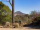 Photo - 185 Blanchview Road, Blanchview QLD 4352 - Image 2