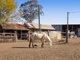 Photo - 185 Blanchview Road, Blanchview QLD 4352 - Image 3
