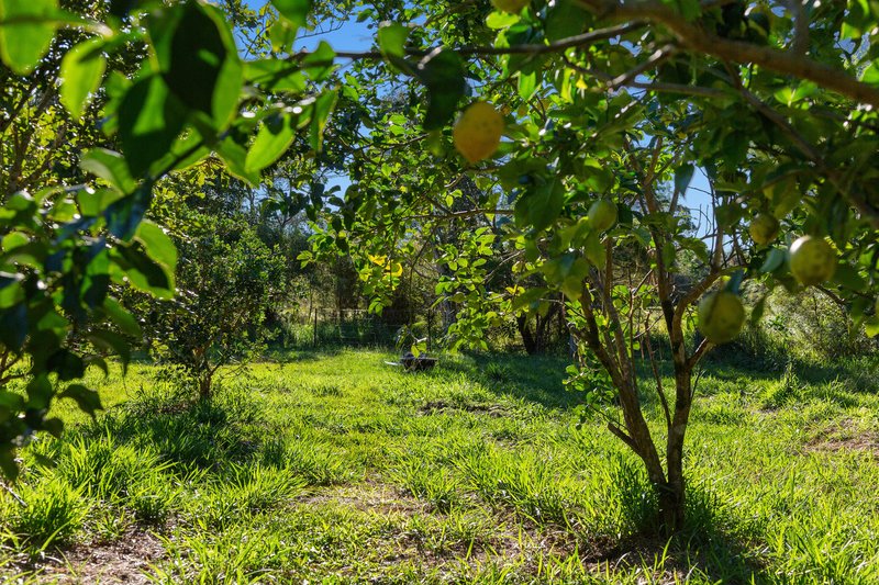 Photo - 185 Dr Pages Road, Cootharaba QLD 4565 - Image 17