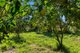 Photo - 185 Dr Pages Road, Cootharaba QLD 4565 - Image 17