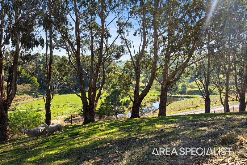 Photo - 185 Goochs Road, Jumbunna VIC 3951 - Image 22
