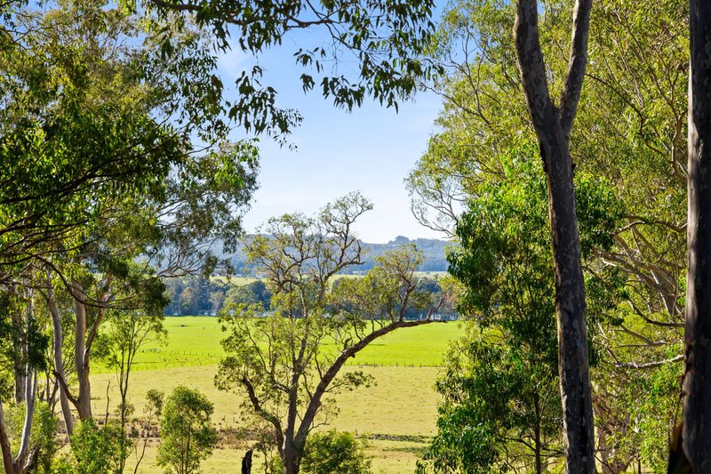 Photo - 185 River Street, Moruya NSW 2537 - Image 2