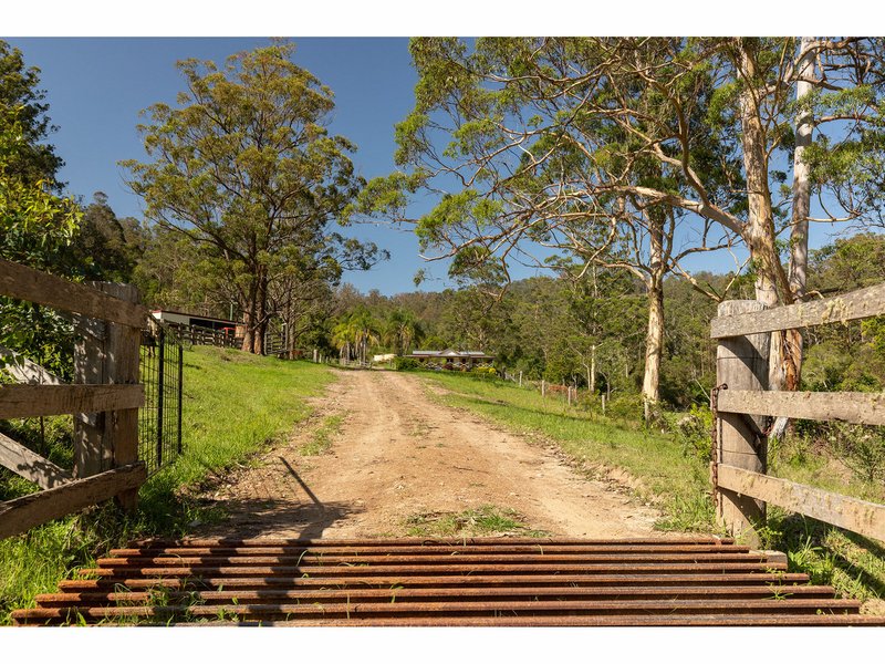 Photo - 185 Sawyers Creek Road, Willina NSW 2423 - Image 2