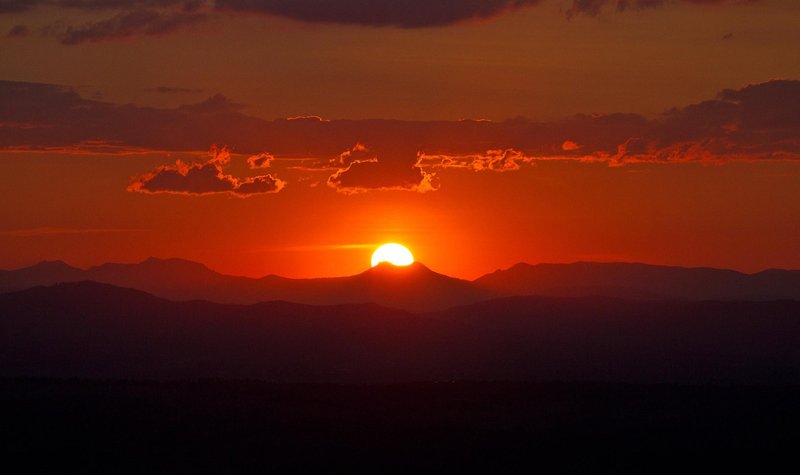 Photo - 186-196 Beacon Road, Tamborine Mountain QLD 4272 - Image 14