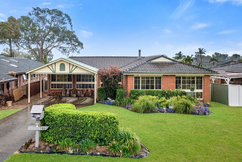 Photo - 186 Oxford Road, Ingleburn NSW 2565 - Image 1