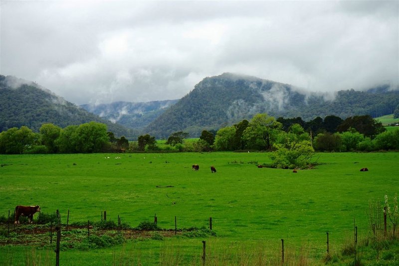 Photo - 1860 South Riana Road, Gunns Plains TAS 7315 - Image 10