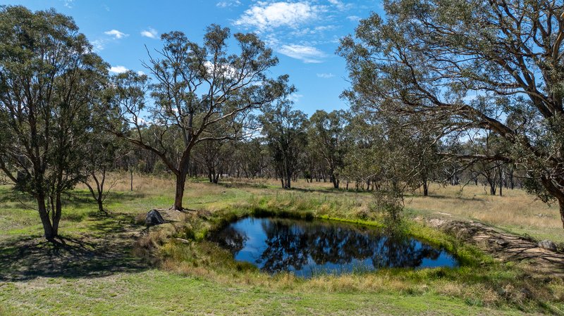 Photo - 1867 Boorolong Road, Armidale NSW 2350 - Image 12