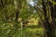 Photo - 1867 Boorolong Road, Armidale NSW 2350 - Image 25