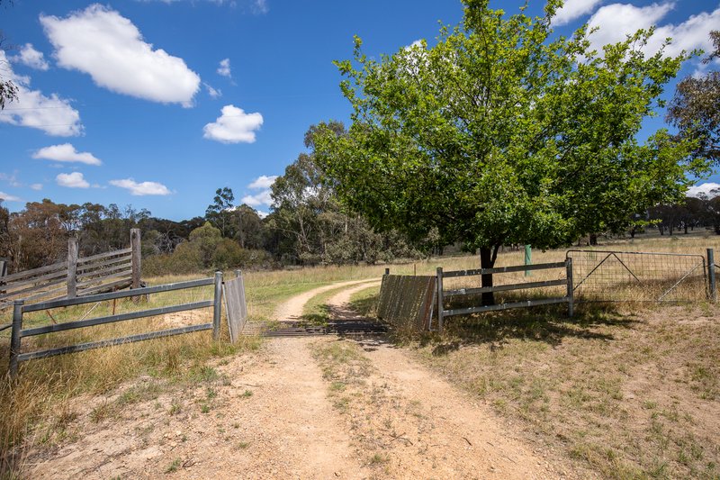 Photo - 1867 Boorolong Road, Armidale NSW 2350 - Image 28