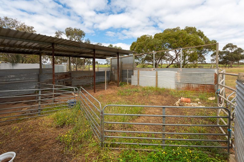 Photo - 187 Frahns Farm Road, Monarto SA 5254 - Image 16