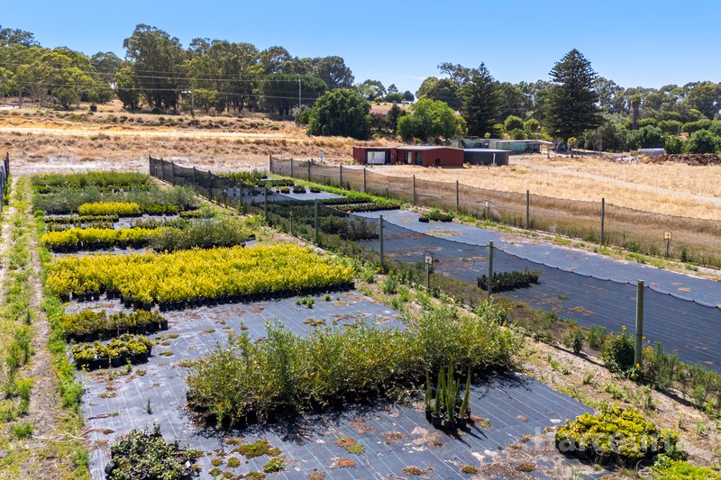 Photo - 187 Karoborup Road, Carabooda WA 6033 - Image 5