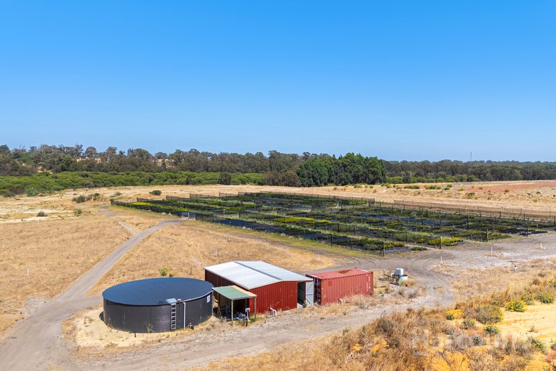 Photo - 187 Karoborup Road, Carabooda WA 6033 - Image 7