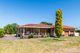 Photo - 187 Karoborup Road, Carabooda WA 6033 - Image 15