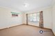 Photo - 187 Kitchener Road, Booragoon WA 6154 - Image 14