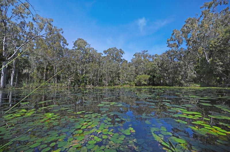 Photo - 187 Rafting Ground Road, Agnes Water QLD 4677 - Image 2