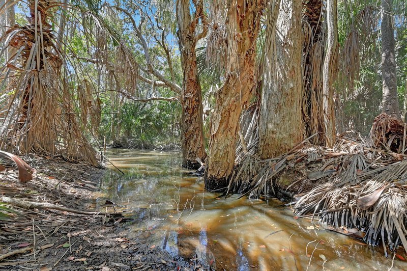 Photo - 187 Rafting Ground Road, Agnes Water QLD 4677 - Image 5